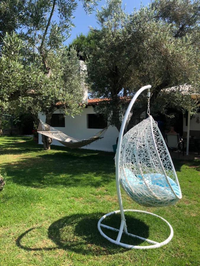 Oasis Aparthotel Skiathos Town Exterior photo